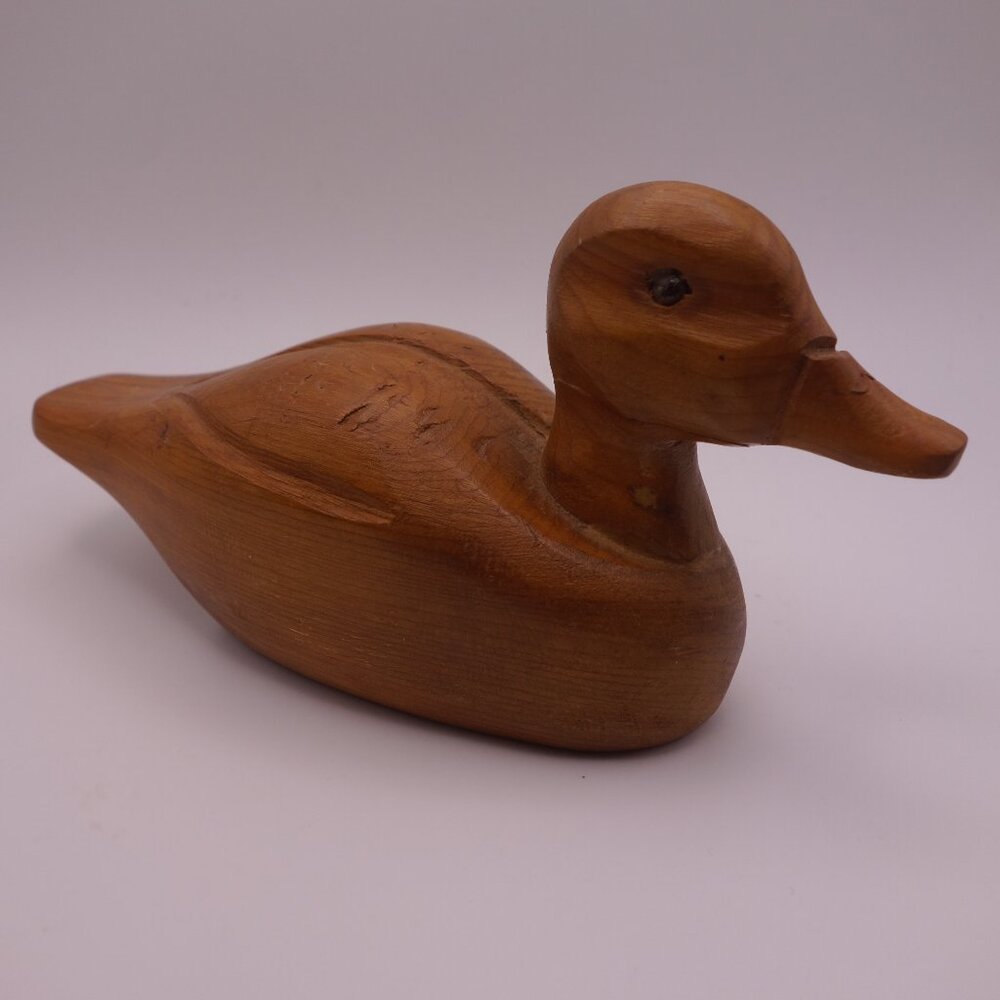 Wood Duck